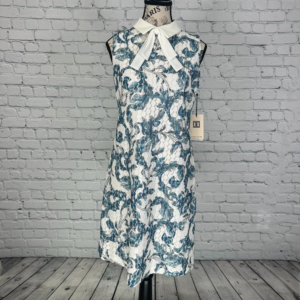 Ivanka Trump Dress (4)